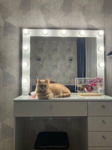 Кошка на столешнице гримёрного столика